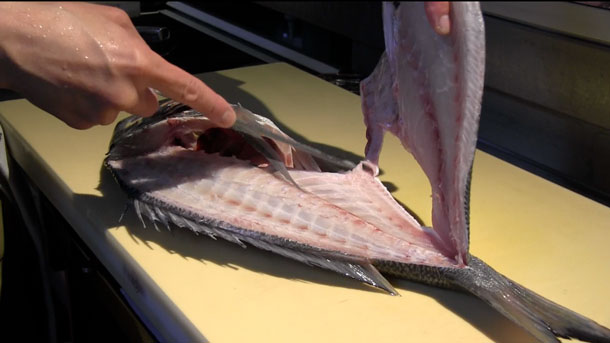 What's the Best Japanese Knife for Filleting Fish?
